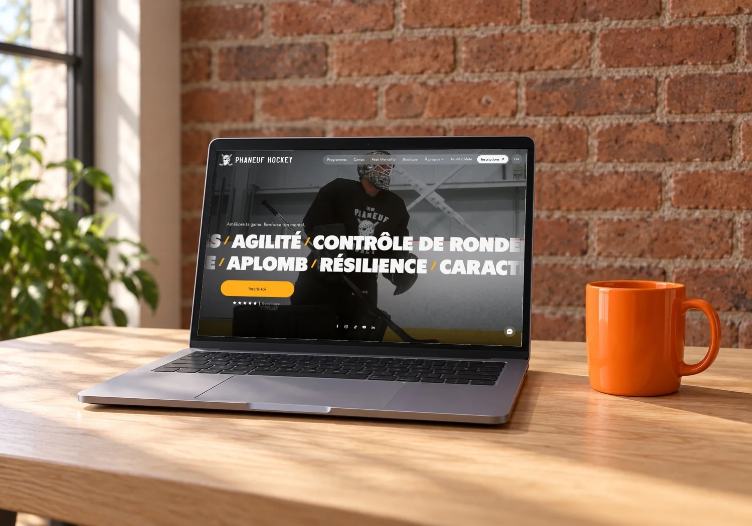Fenêtres Viking